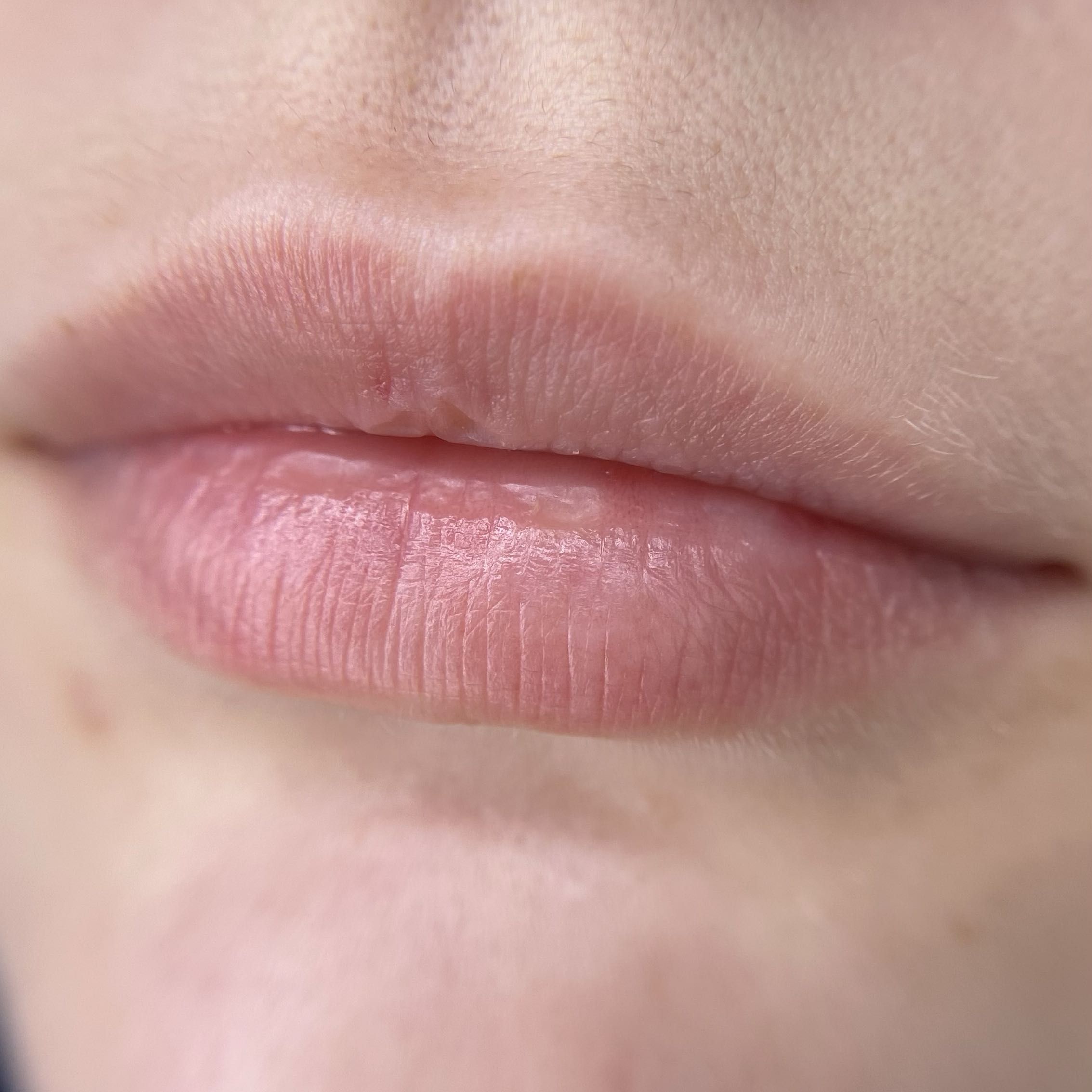 Portfolio usługi Makijaż Permanentny ust Metoda SATIN LIPS