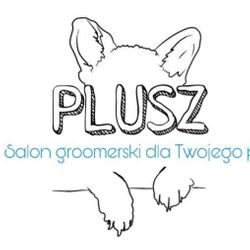 Plusz Groomer, Lwa 19, 61-244, Poznań, Nowe Miasto