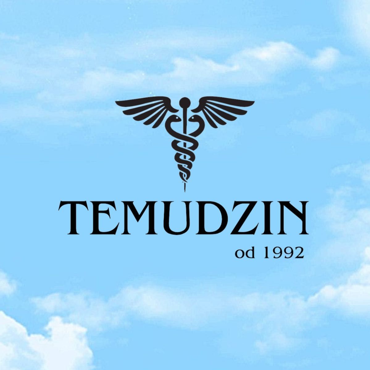 Temudzin Naturalna Terapia Ul. Łowicka 23, Łowicka 23, Lokal 2, 02-502, Warszawa, Mokotów