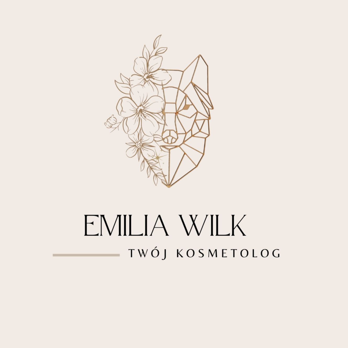 Emilia Wilk Twój Kosmetolog, Bolesława Prusa 14, ( Salon fryzjerski Soczewiński), 81-431, Gdynia
