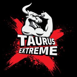 Taurus Extreme - STUDIO TRENINGU HOLISTYCZNEGO, CICHOCIEMNYCH, 18/8, 44-100, Gliwice