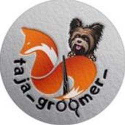 Psi Fryzjer Groom Room by Tetiana Kirova (groomer), Bocianowo 34, 1, 85-042, Bydgoszcz