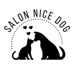 Salon Nice Dog, Stanisława Przybyszewskiego 103, Wejscie przez parking dla klientów od ul. Łęczyckiej, 93-126, Łódź, Górna