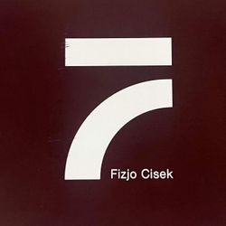 FizjoCisek, Słupecka 12/a/3, 81-316, Gdynia