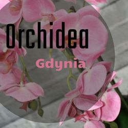 Orchidea, Stanisława Filipkowskiego, 20, 81-578, Gdynia