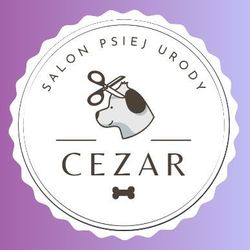 Salon strzyżenia psów CEZAR Spa dla Psa, Dąbrowskiego, 5, 43-100, Tychy