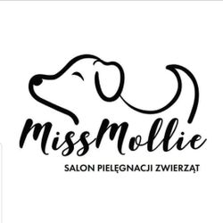 MissMollie Salon Pielęgnacji Zwierząt, Kolista 24, 1, 40-486, Katowice