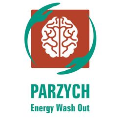 Parzych EnergyWashOut, Polna 31/1, 60-533, Poznań, Jeżyce