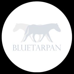 Bluetarpan, 03-418, Warszawa, Praga-Północ