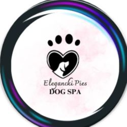 Elegancki Pies Dog Spa, plac Światowida 11, 60-179, Poznań, Grunwald