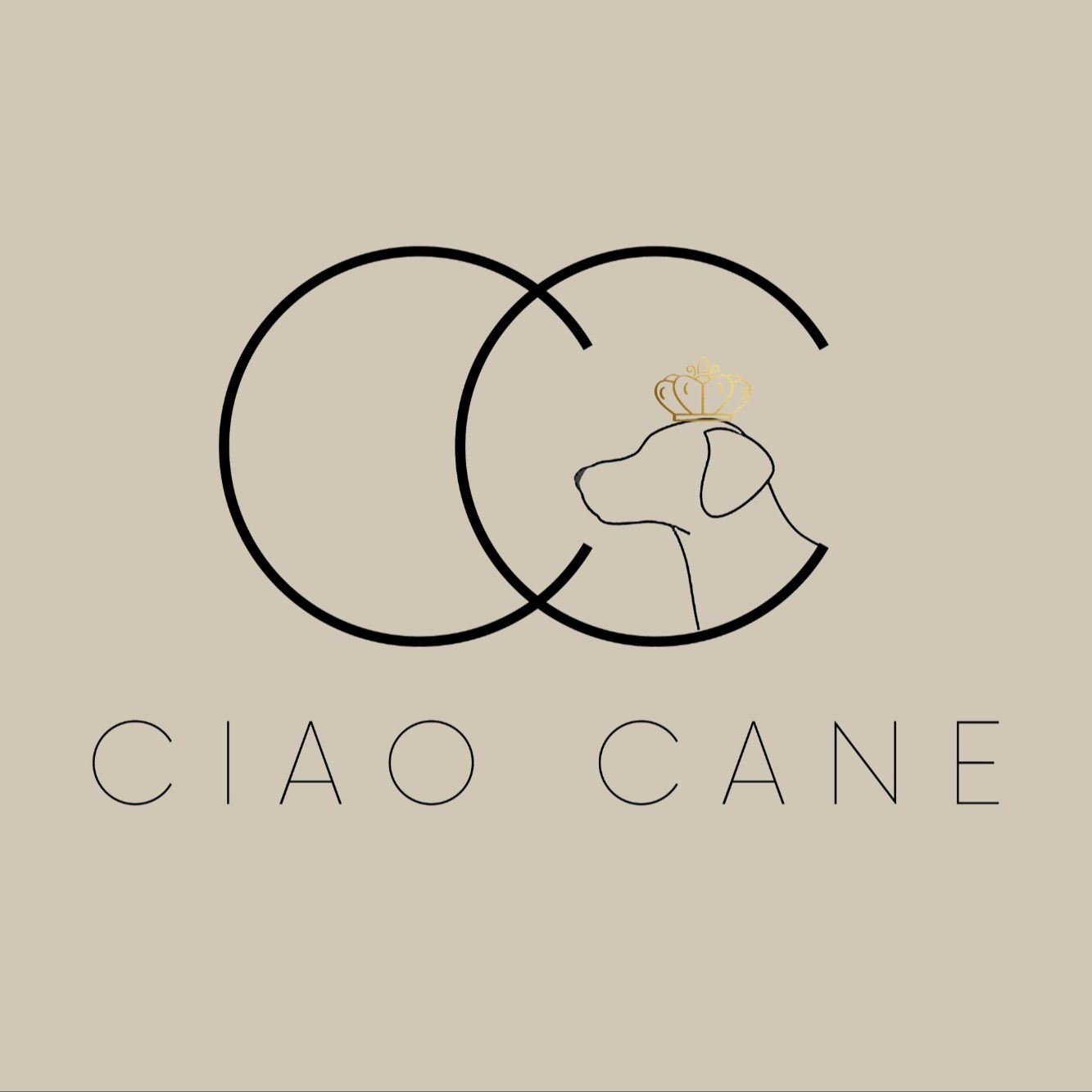 CIAO CANE - Groomer & SPA, Willowa, 86, 32-085, Modlniczka