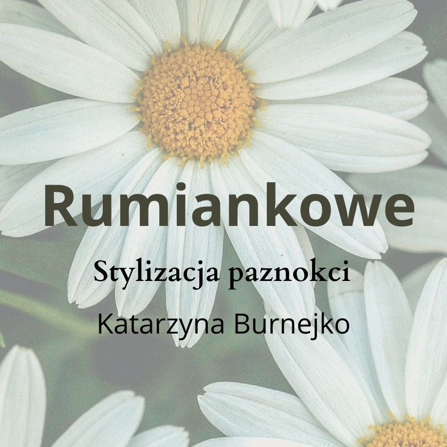 Rumiankowe, Batalionów Chłopskich, 72, 70-770, Szczecin