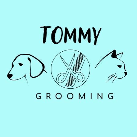 Tommy Grooming, Fiołkowa 4, 171, 31-457, Kraków, Śródmieście