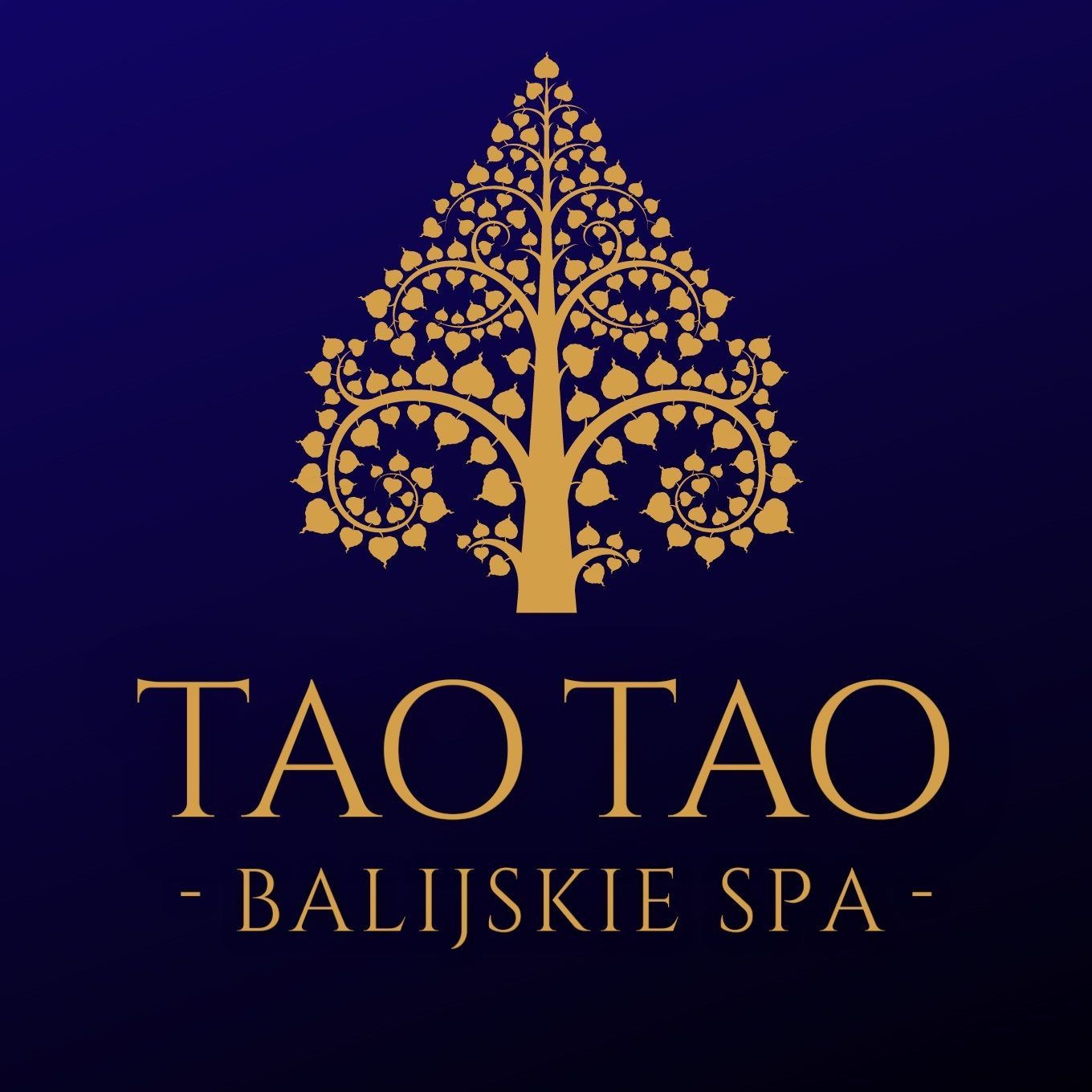 Tao Tao SPA - Włocławek, ul. Polskiej Organizacji Wojskowej, 24, 87-800, Włocławek