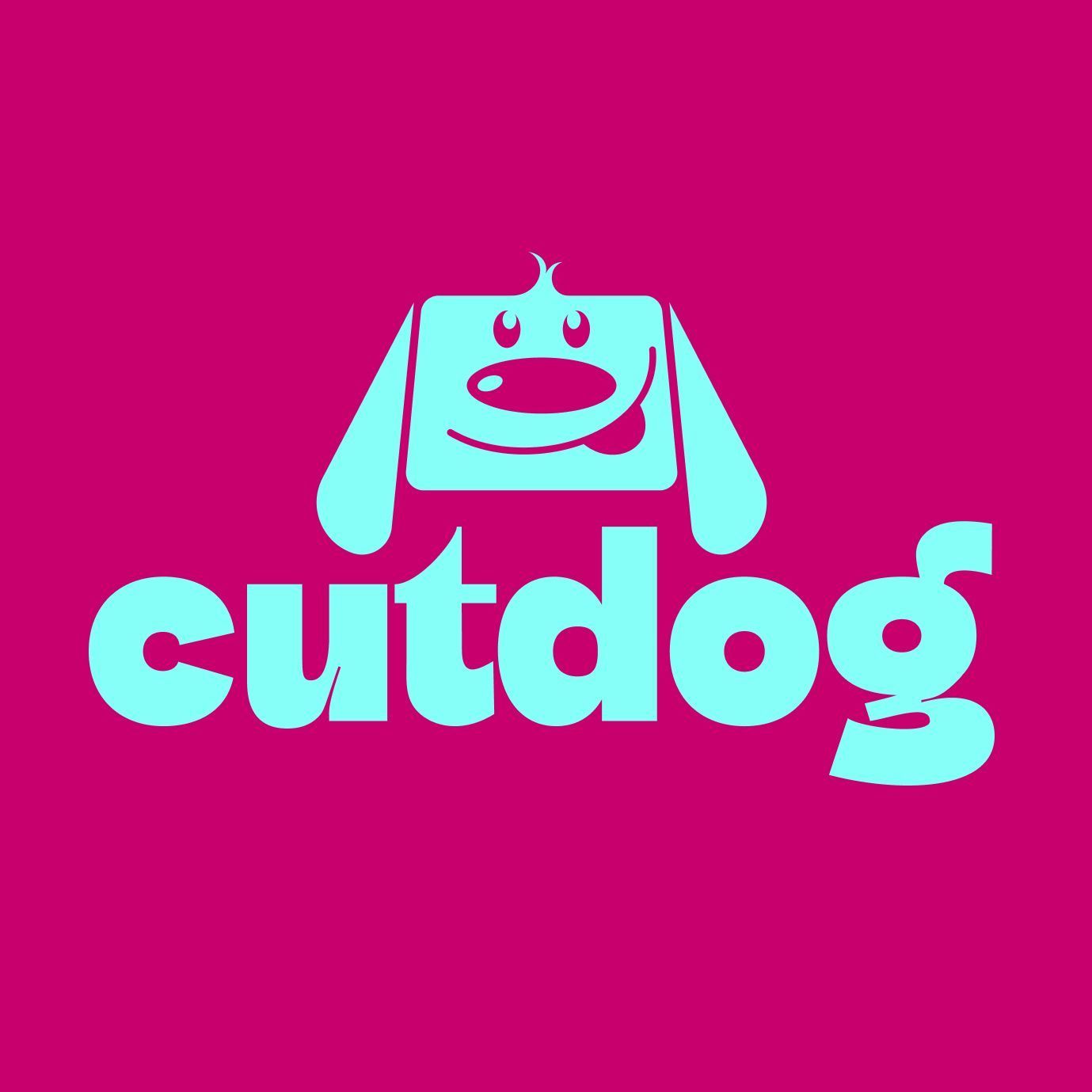 CutDog Grooming i Fryzjer dla zwierząt, Piotrowicka 82, 1, 40-724, Katowice