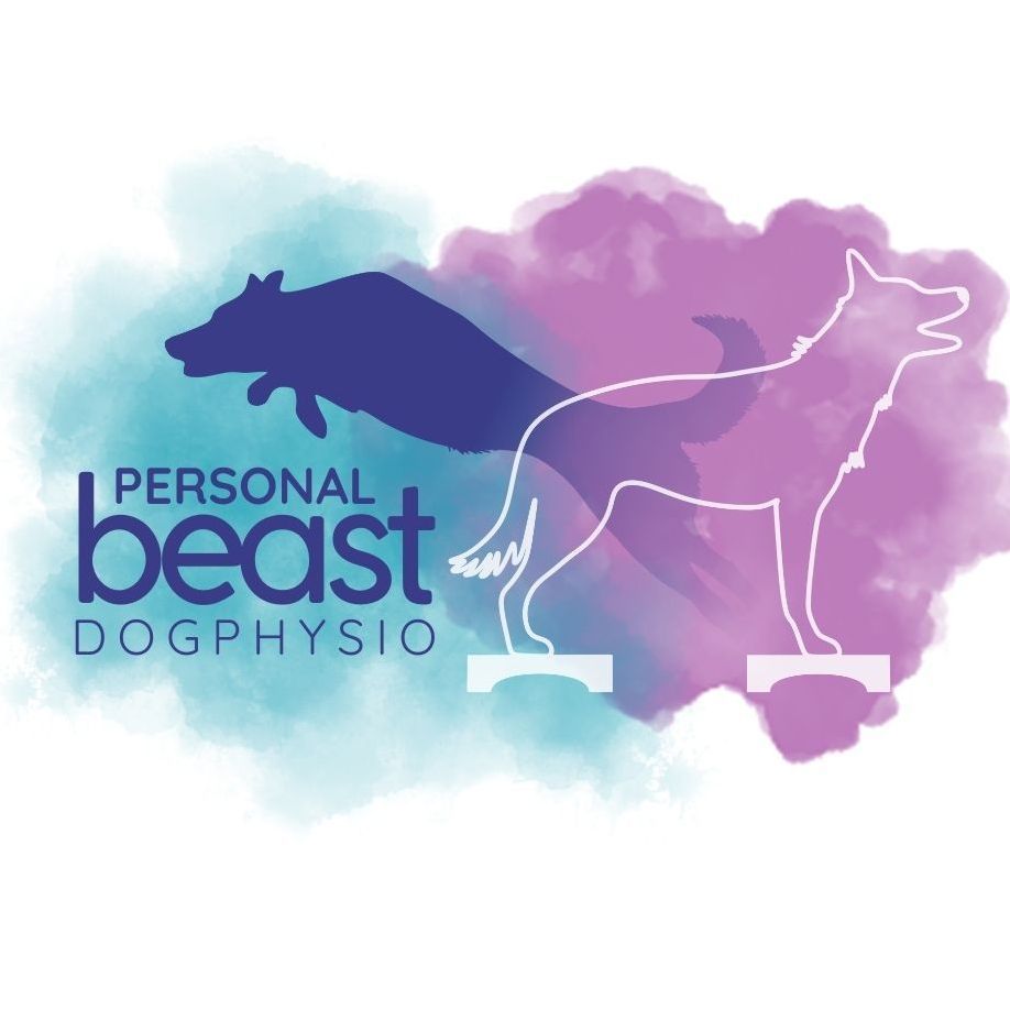 Personal Beast. dogphysio, Mogilska 97, 80, 31-545, Kraków, Śródmieście