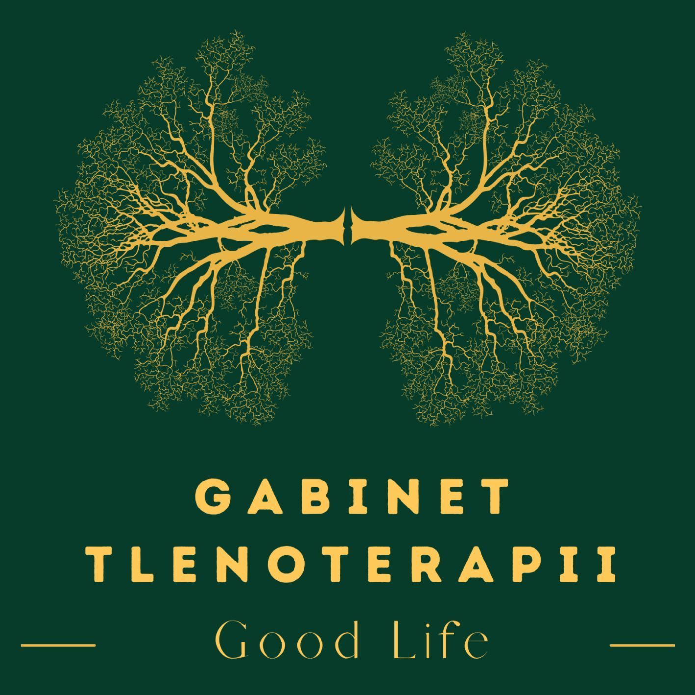 Gabinet Tlenoterapii Good Life i Centrum Terapeutyczne Seniora, Żywiecka 16, 30-427, Kraków, Podgórze