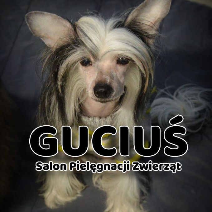 GUCIUŚ - Salon Pielęgnacji Zwierząt, Podgórna 39, 95-100, Zgierz