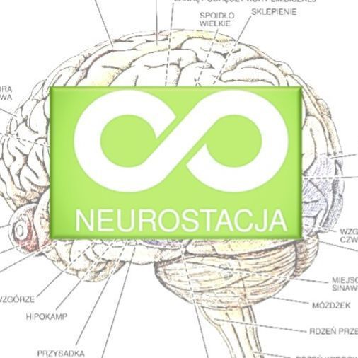 Neurostacja MOK Kobyłka, MOK Kobyłka al. Jana Pawła II 22, parter, 05-230, Kobyłka