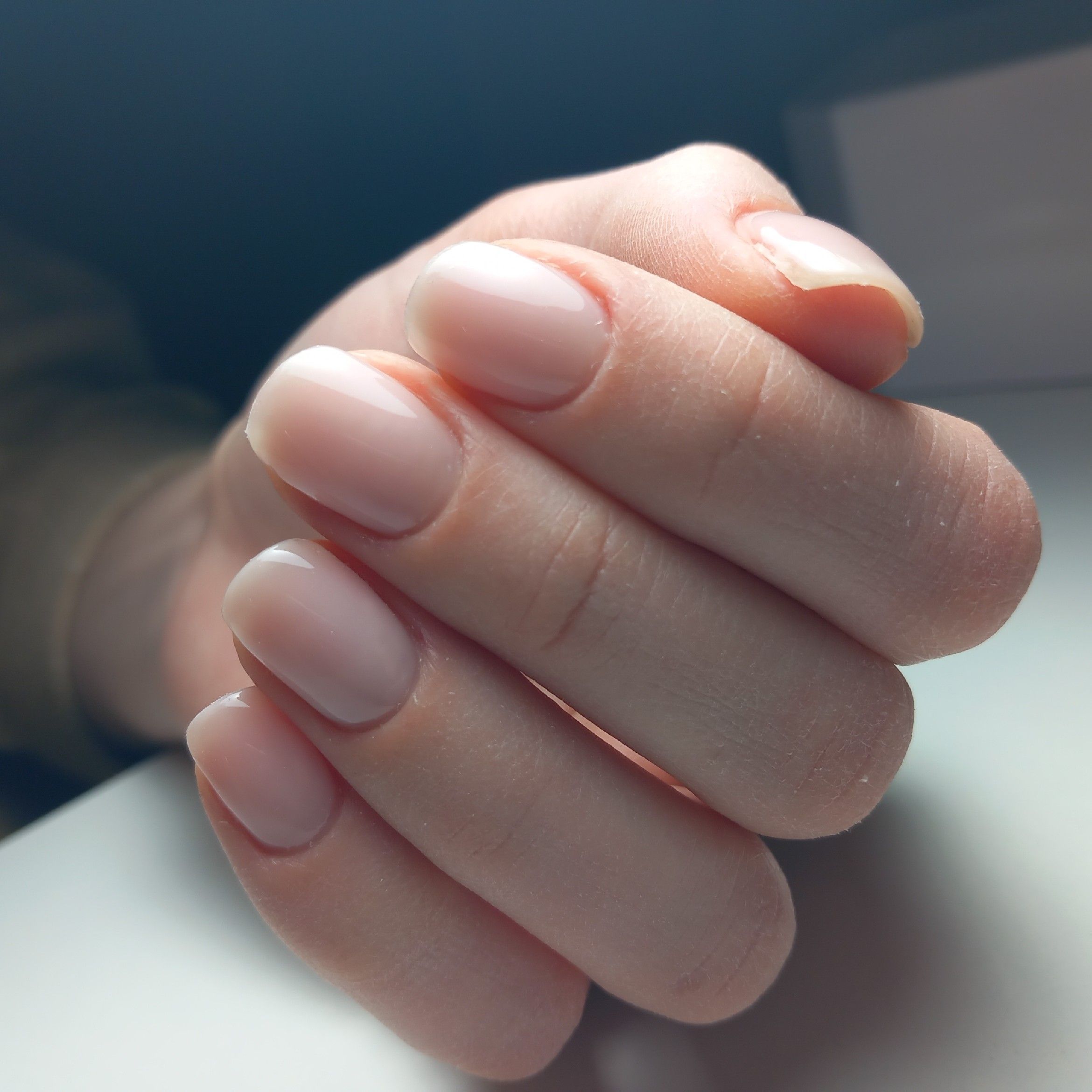 Portfolio usługi 💅Manicure hybrydowy paznokcie krótkie i średnie