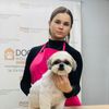 Magda - Dog House - fryzjer dla psów