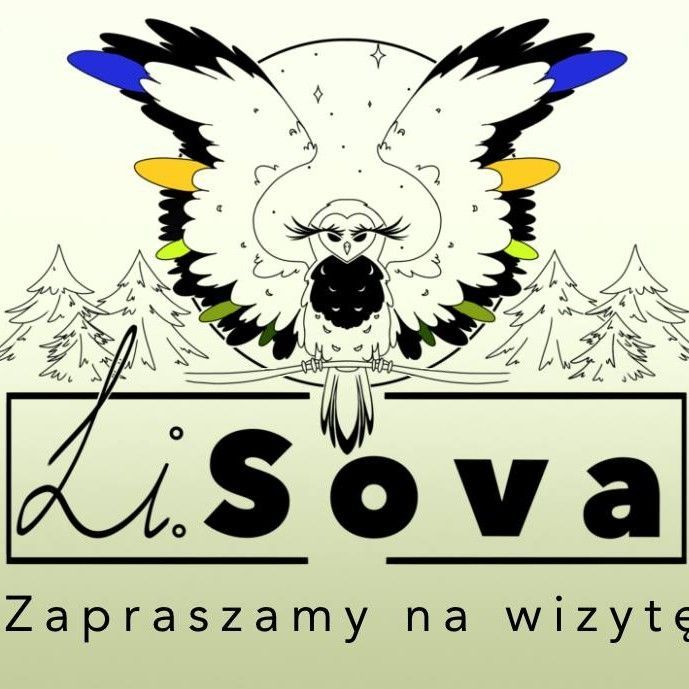 Li.Sova Liudmyla, Tadeusza Kościuszki, 107, 50-442, Wrocław, Krzyki