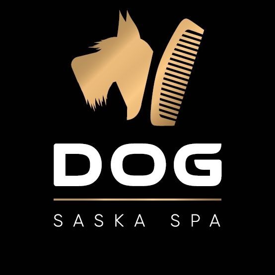 Dog Saska Spa- fryzjer dla psów i kotów, ulica Jana Nowaka-Jeziorańskiego 53C, U12, 03-982, Warszawa, Praga-Południe