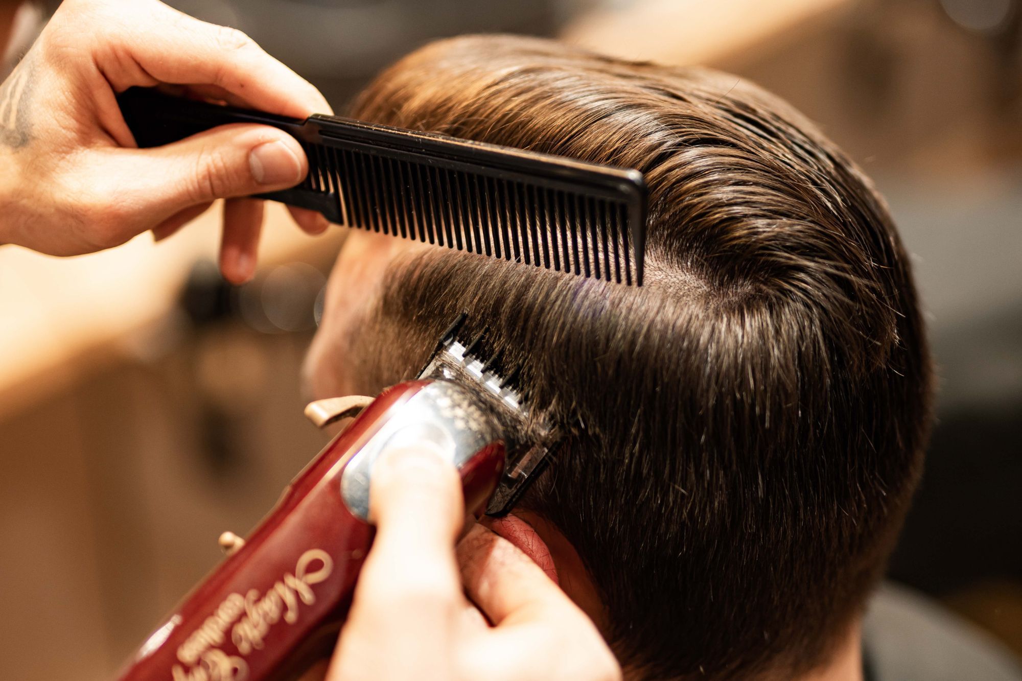 Portfolio usługi Strzyżenie Włosów + Stylizacja / Haircut