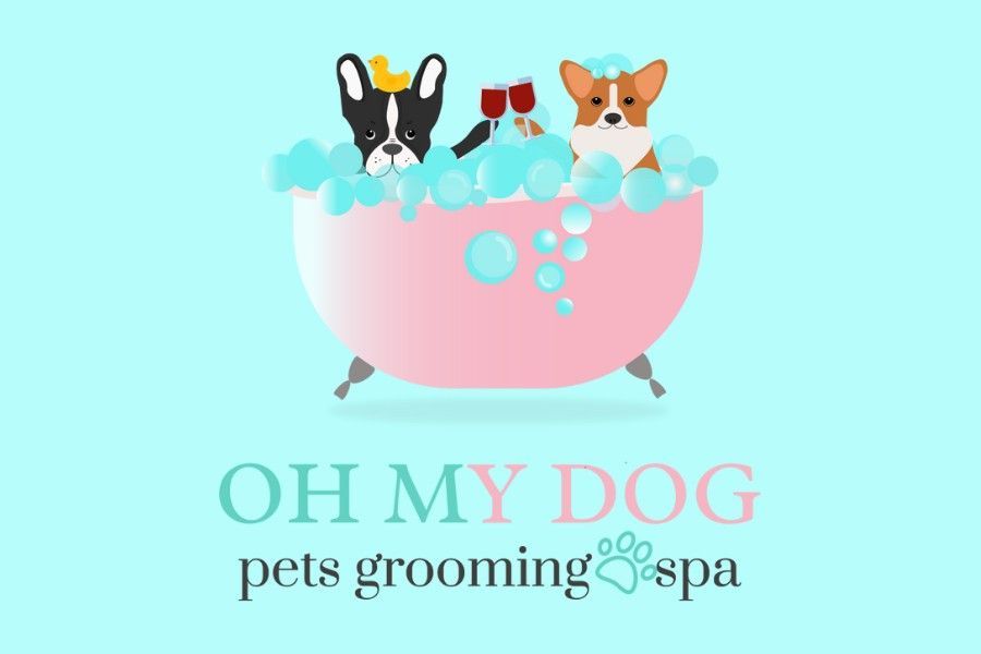 Oh my dog fashion groomer