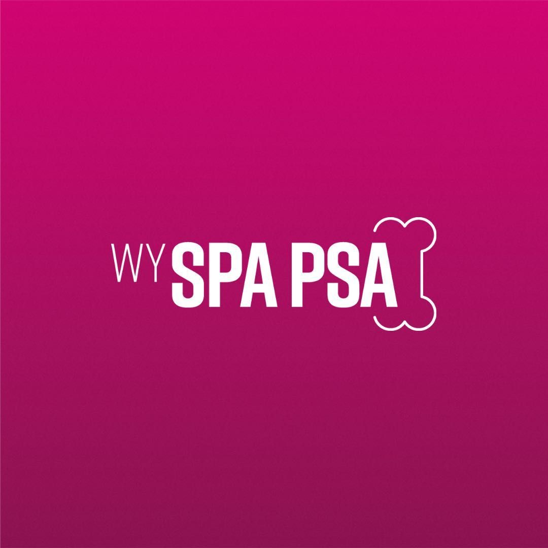 WYSPA PSA groomer fryzjer dla psów Poznań, osiedle Piastowskie 75, 61-156, Poznań, Nowe Miasto