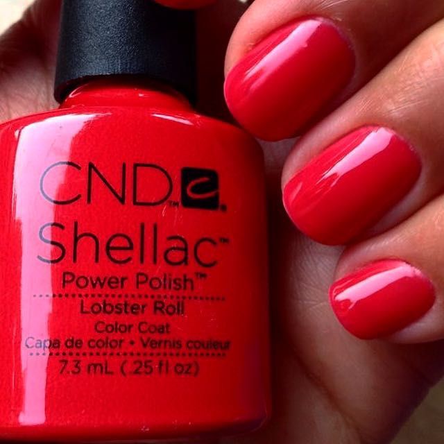 Shellac On The Go (cuticle work and paint only) portfolio