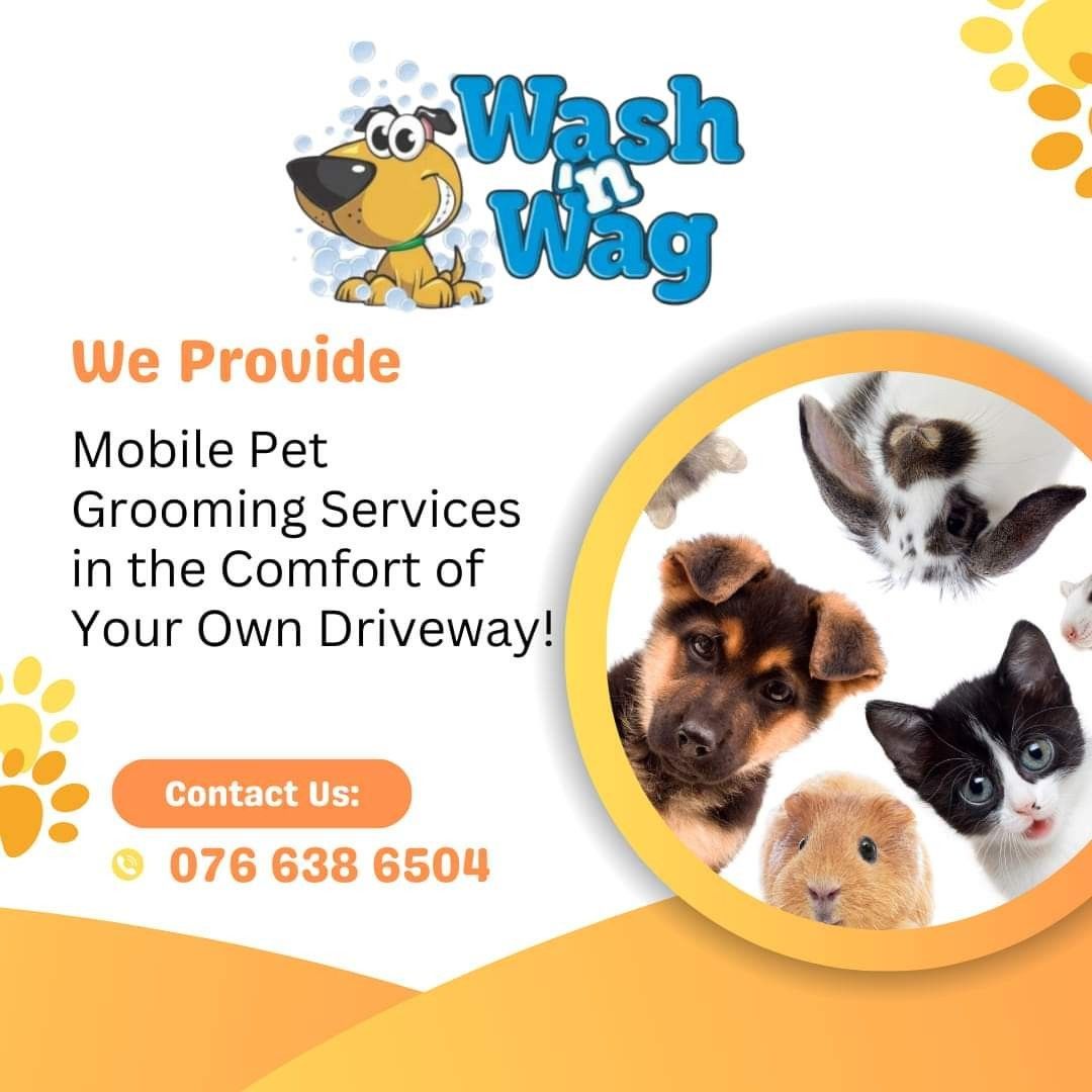 Wash 'n Wag Mobile Grooming Parlor Services, Hillcrest